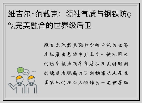 维吉尔·范戴克：领袖气质与钢铁防线完美融合的世界级后卫